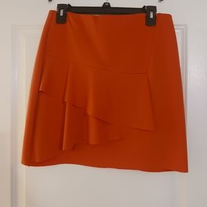 Skirt (red)